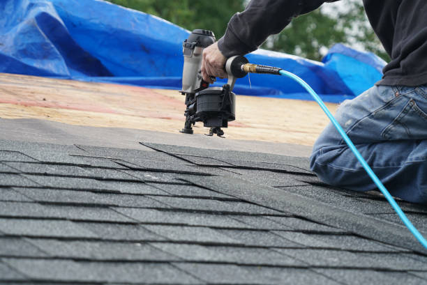 Best Roof Leak Repair  in Adrian, MI